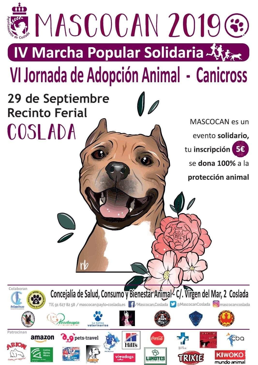 17/03/2019 SanFer Dog !Feria de adopciones!